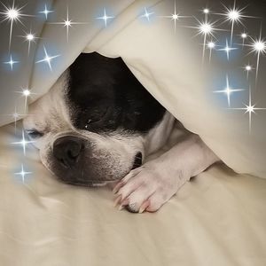 Meet your Posher, Catherine